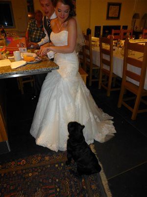 Re: Now MrsC! A few flashes of our perfect day