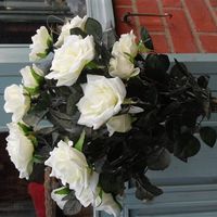 Cream Rose artificial Topiary Trees x 2 for sale - gorgeous - NOW ON EBAY LINK BELOW!