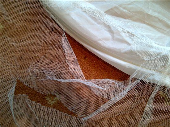 Norfolk: Wedding items for sale blue theme colour, fish bowls, mirror plates and more....