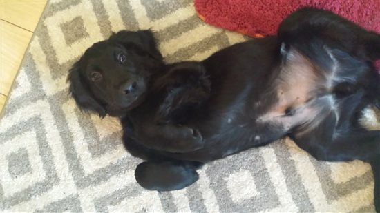 Right, come on, shove up....need room for a not so little one :)