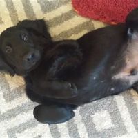 Right, come on, shove up....need room for a not so little one :)