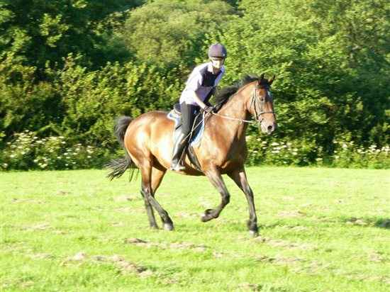 Re: Anybody ever ridden their own horse to the wedding?