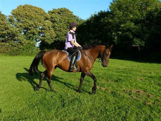 Re: Anybody ever ridden their own horse to the wedding?