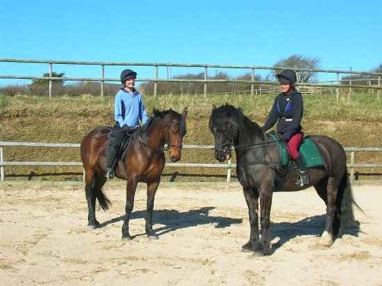 Re: What's your theme?