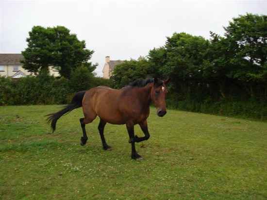 Re: What's your theme?