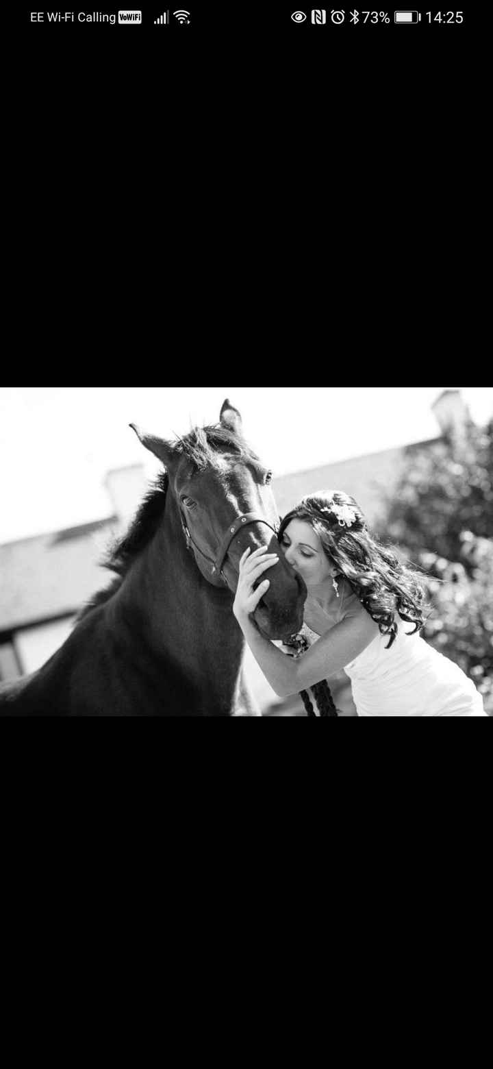 Anybody ever ridden their own horse to the wedding? 5