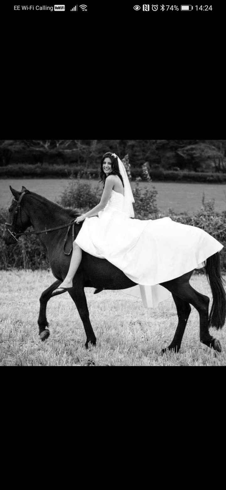 Anybody ever ridden their own horse to the wedding? 6