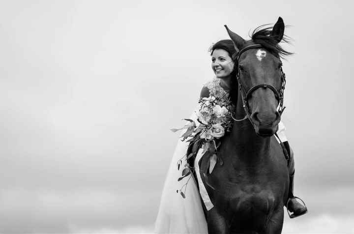 Anybody ever ridden their own horse to the wedding? 7