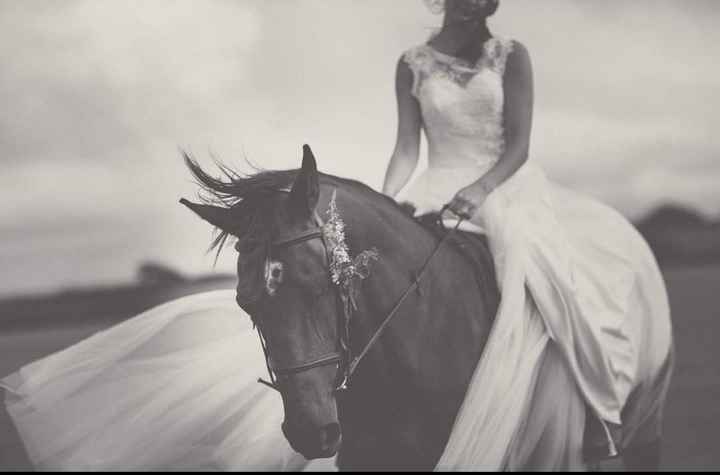 Anybody ever ridden their own horse to the wedding? 10