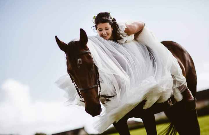 Anybody ever ridden their own horse to the wedding? 12