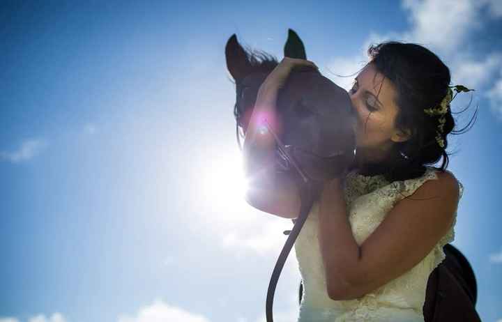 Anybody ever ridden their own horse to the wedding? 13