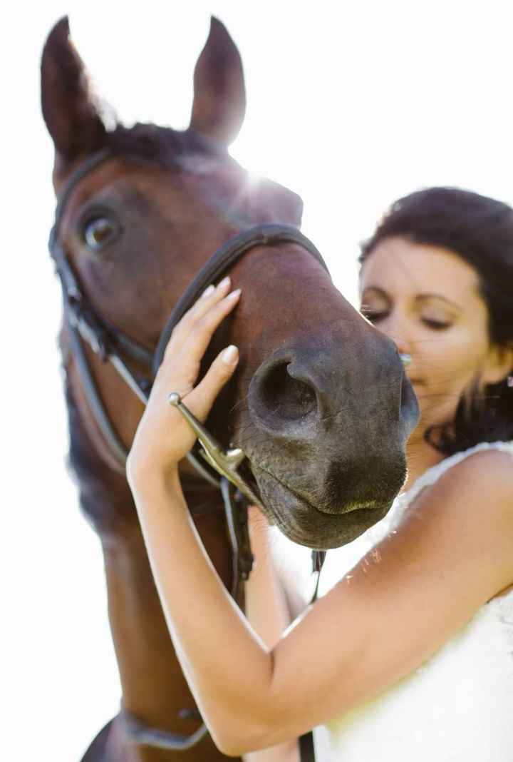 Anybody ever ridden their own horse to the wedding? 14