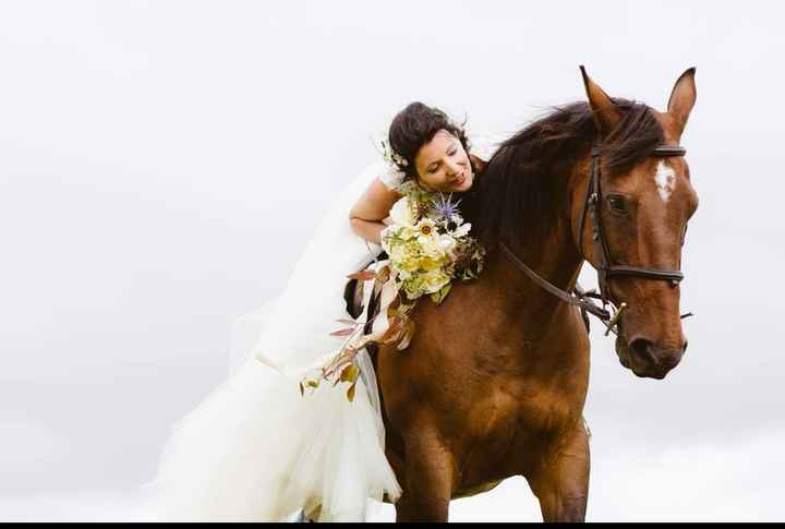 Anybody ever ridden their own horse to the wedding? 16