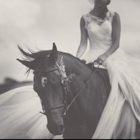 Anybody ever ridden their own horse to the wedding? - 4