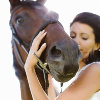 Anybody ever ridden their own horse to the wedding? - 8