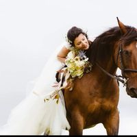 Anybody ever ridden their own horse to the wedding? - 10