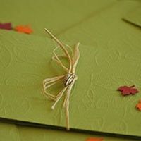 Re: Pocketfold invitations...help please!!