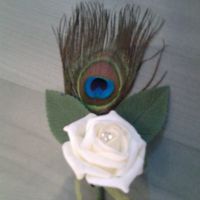 May 2013 first *flash* 