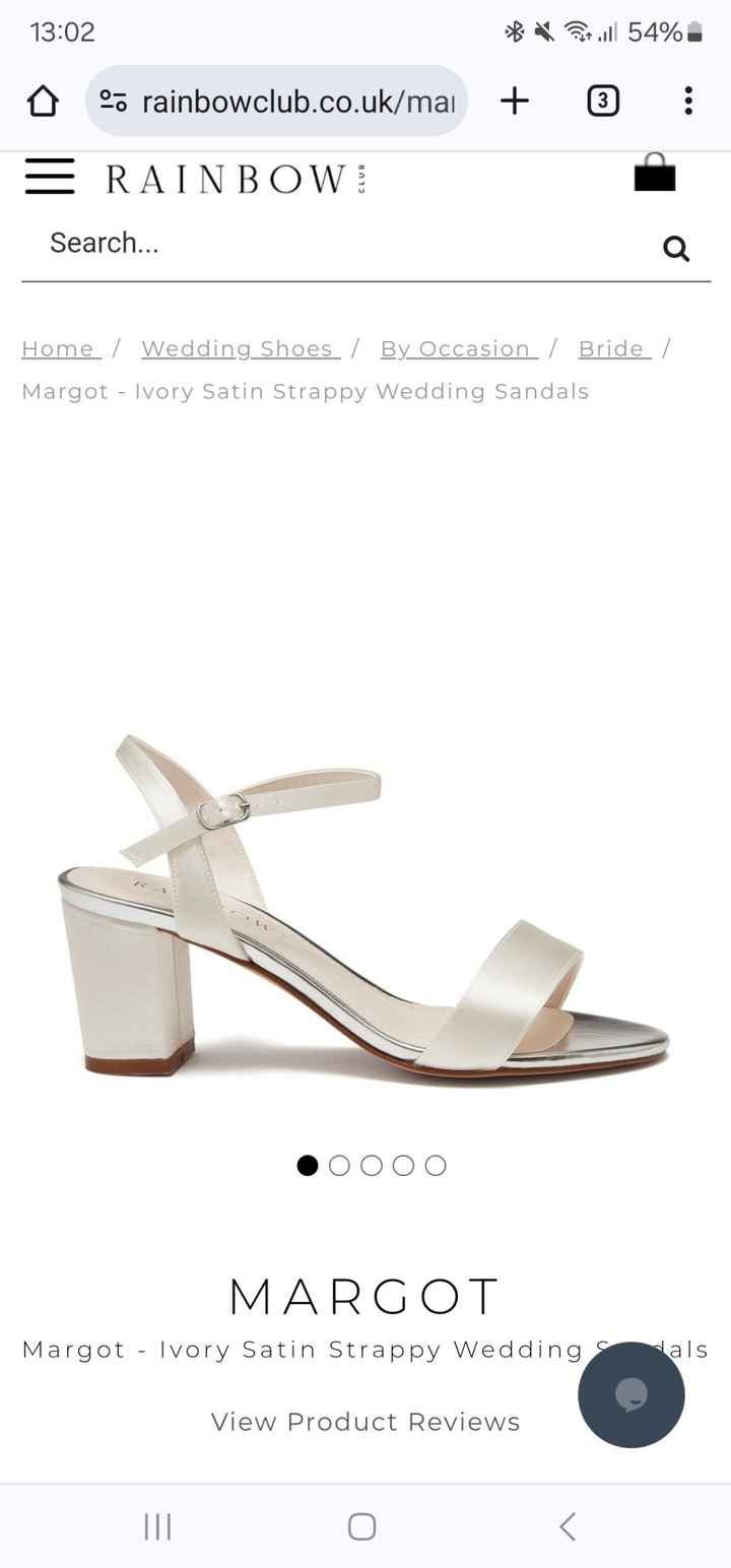 Rainbow club shoe clips - 2