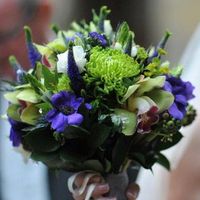 Re: Help & Suggestions needed in the Oldham/ Manchester area!!