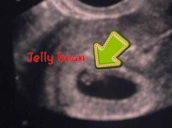 Re: FAO Panjita please!