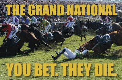 Re: Grand National