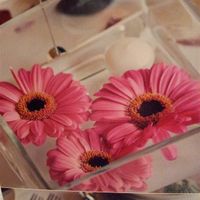 8 square vases 8x8x4