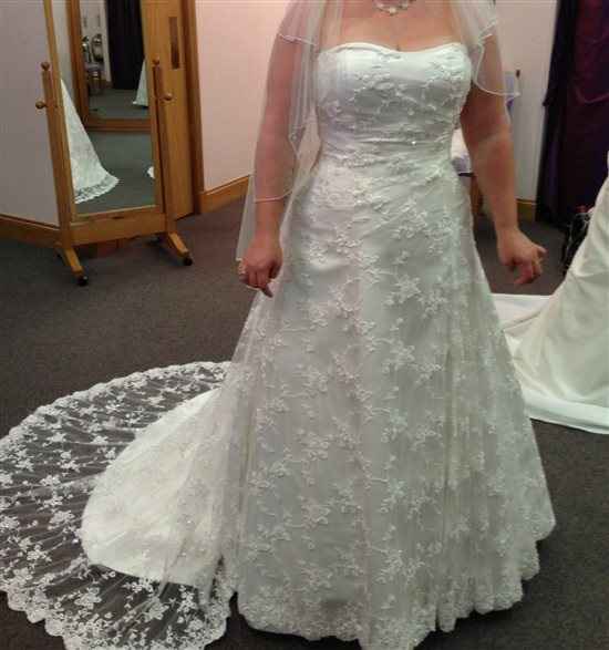 Re: Berketex Bride Rosetta Nicolini Anastasia dress