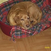 Re: RERe: Show me your pets!