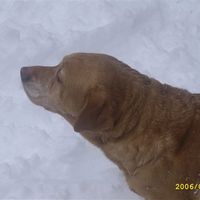 Re: RERe: Show me your pets!