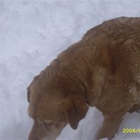 Re: RERe: Show me your pets!