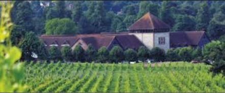 Our Boozy Vineyard Wedding - The (long overdue) Report - FLASH HEAVY