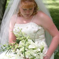 Re: 'Daisy' wedding dress?