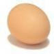 egg