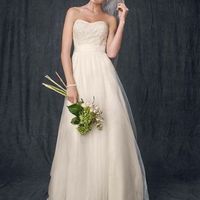 Re: How much was your wedding dress?