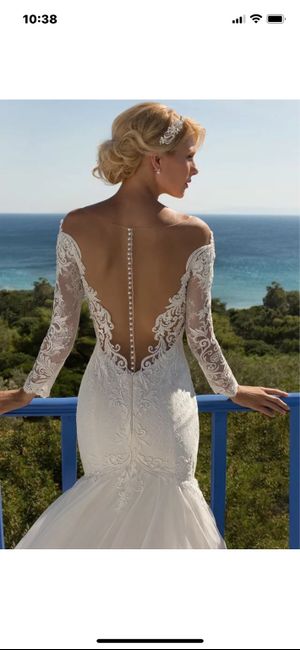 Wedding dress sleeves 1