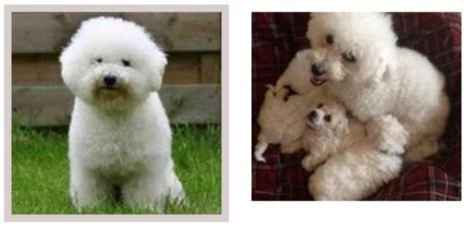 We're going to meet these two this weekend ....