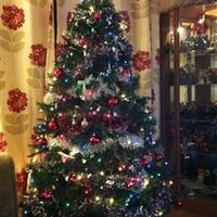 Re: When are you putting you Christmas Decorations up?