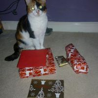 Re: **Offical Secret Santa Opening Thread**