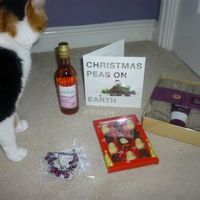 Re: **Offical Secret Santa Opening Thread**