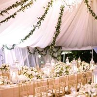 Re: Difficulty sticking to a theme! Decoration help please!!!