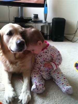 Re: Dogs and babies