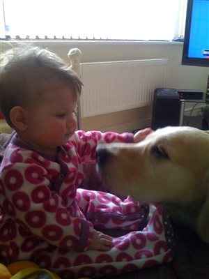 Re: Dogs and babies