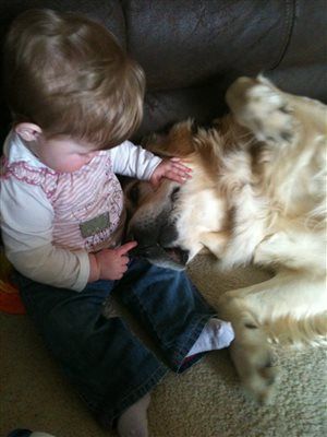 Re: Dogs and babies