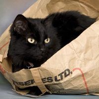 Re: Pics of Hitchers' Pets...