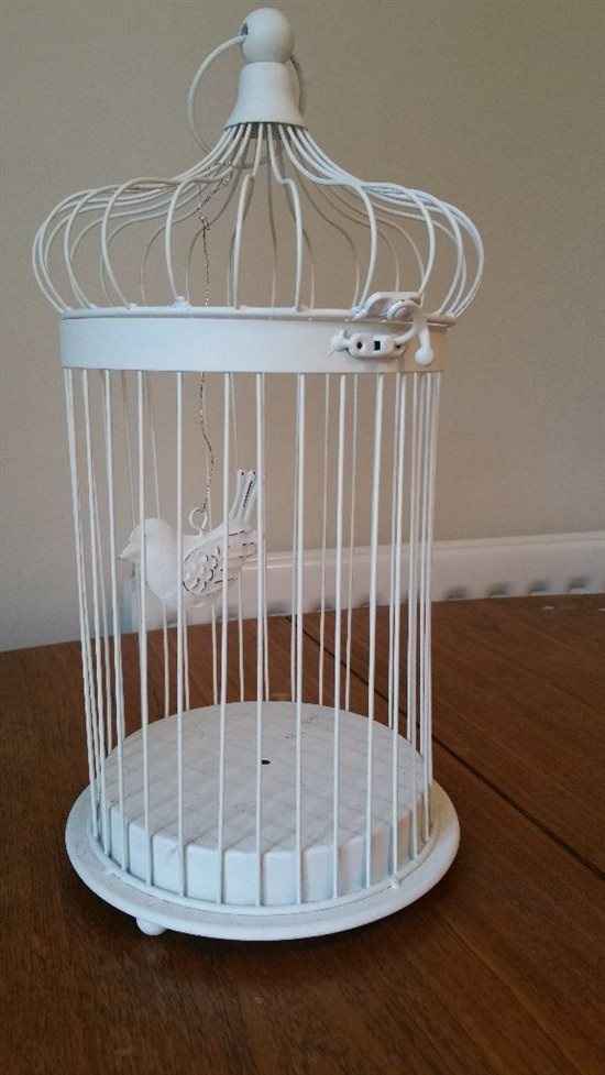 Bird cages - centre pieces