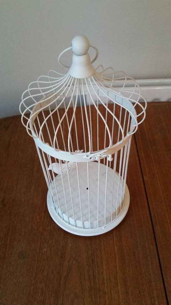 Bird cages - centre pieces
