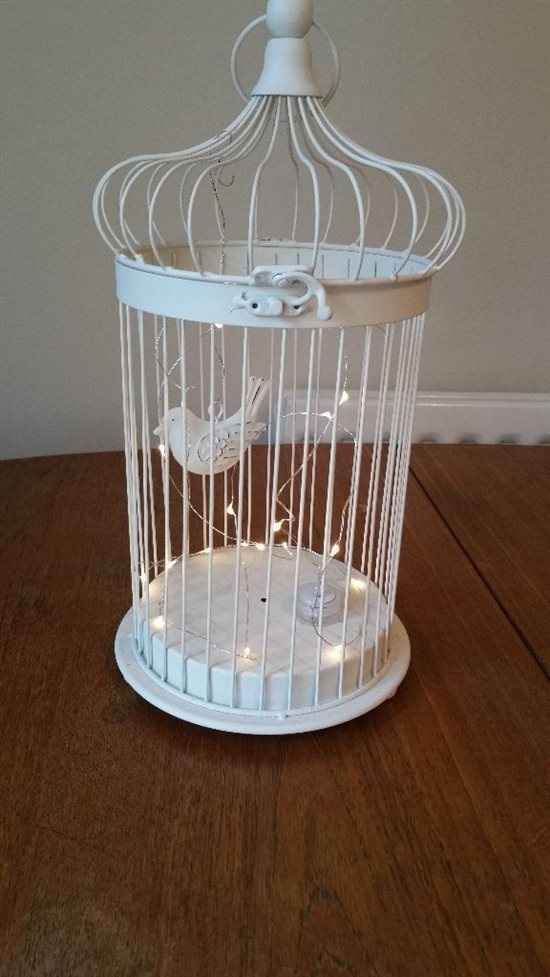 Bird cages - centre pieces