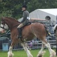 Trash the dress/Rock the frock - hair ideas too! 