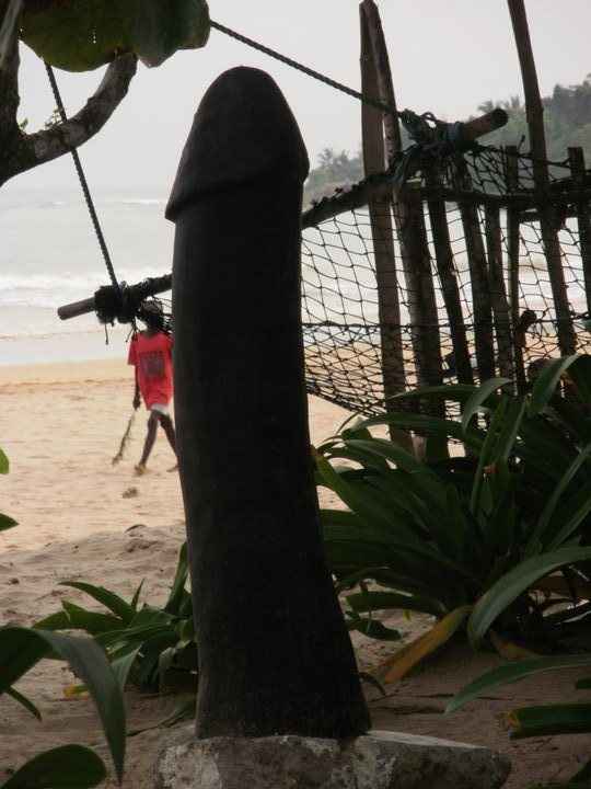 Re: Photo competition - Gratuitously amusing snaps